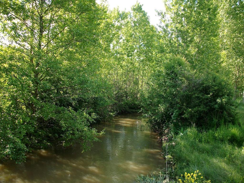 La Cle Des Chants Tauxigny Exteriér fotografie