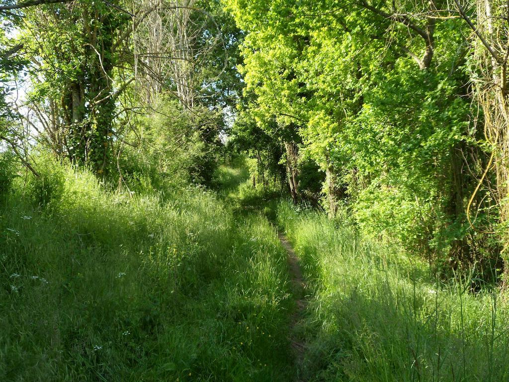 La Cle Des Chants Tauxigny Exteriér fotografie